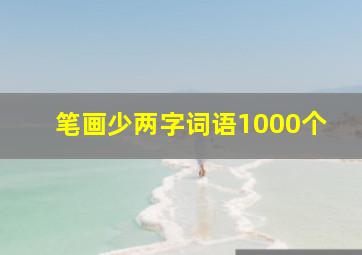 笔画少两字词语1000个