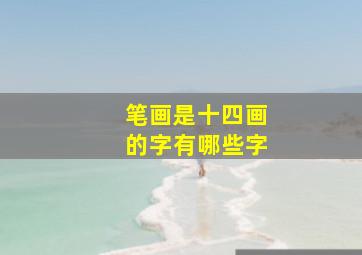 笔画是十四画的字有哪些字