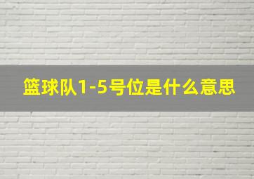 篮球队1-5号位是什么意思