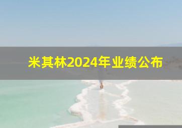 米其林2024年业绩公布