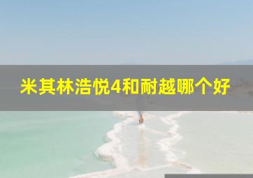 米其林浩悦4和耐越哪个好