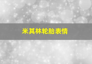 米其林轮胎表情