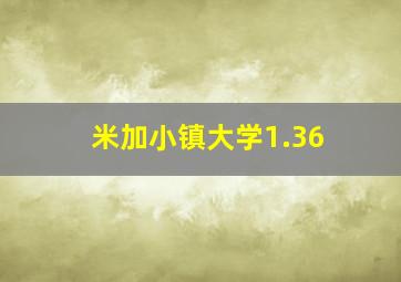 米加小镇大学1.36