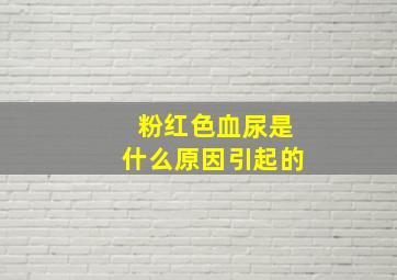 粉红色血尿是什么原因引起的