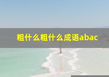 粗什么粗什么成语abac