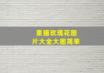 素描玫瑰花图片大全大图简单