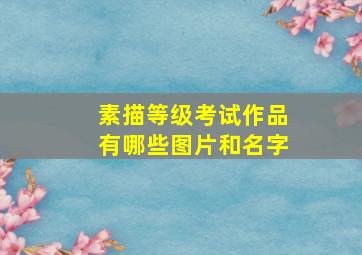 素描等级考试作品有哪些图片和名字