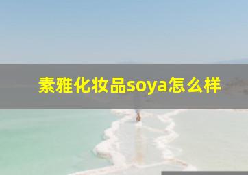 素雅化妆品soya怎么样