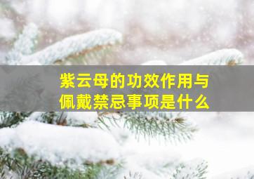 紫云母的功效作用与佩戴禁忌事项是什么