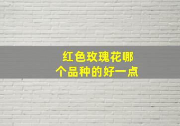 红色玫瑰花哪个品种的好一点