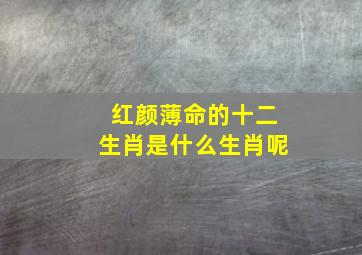 红颜薄命的十二生肖是什么生肖呢