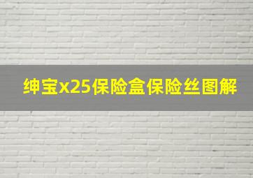 绅宝x25保险盒保险丝图解