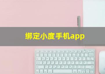 绑定小度手机app