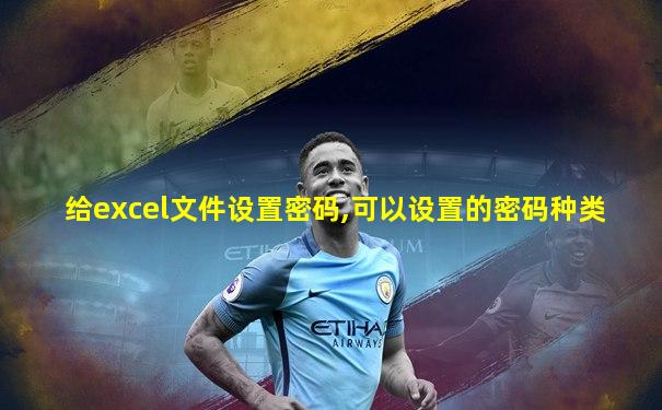 给excel文件设置密码,可以设置的密码种类