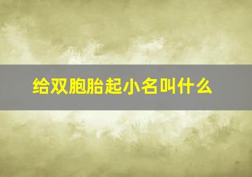 给双胞胎起小名叫什么