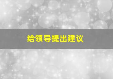 给领导提出建议