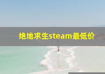 绝地求生steam最低价