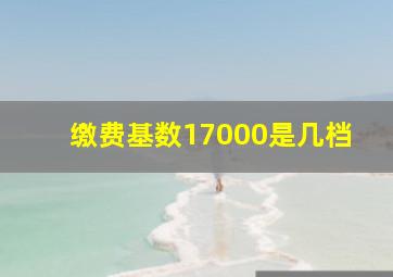 缴费基数17000是几档