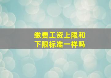 缴费工资上限和下限标准一样吗