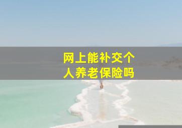 网上能补交个人养老保险吗