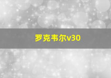 罗克韦尔v30