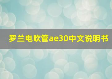 罗兰电吹管ae30中文说明书