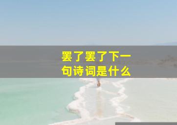 罢了罢了下一句诗词是什么