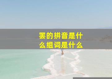 罢的拼音是什么组词是什么