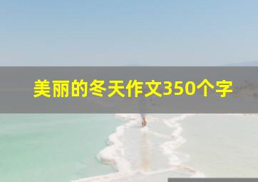 美丽的冬天作文350个字