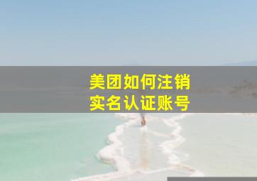 美团如何注销实名认证账号