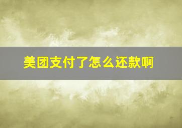 美团支付了怎么还款啊