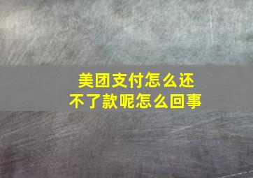 美团支付怎么还不了款呢怎么回事