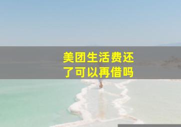 美团生活费还了可以再借吗