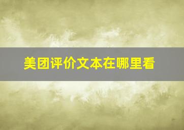 美团评价文本在哪里看