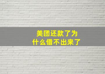 美团还款了为什么借不出来了