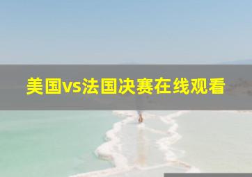 美国vs法国决赛在线观看