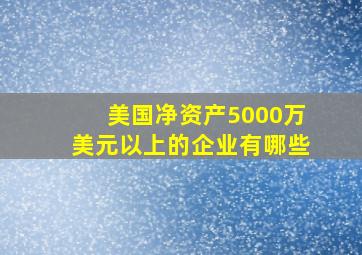 美国净资产5000万美元以上的企业有哪些