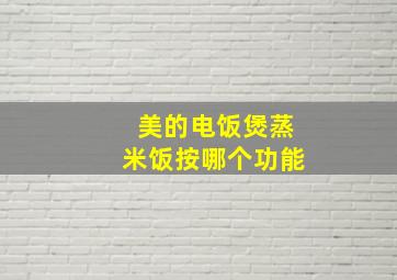 美的电饭煲蒸米饭按哪个功能