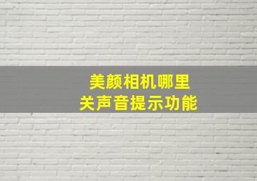 美颜相机哪里关声音提示功能