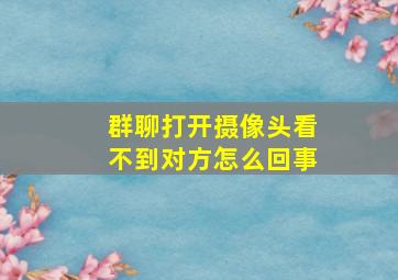 群聊打开摄像头看不到对方怎么回事