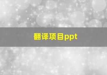 翻译项目ppt