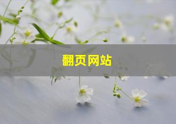 翻页网站