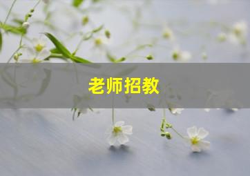 老师招教