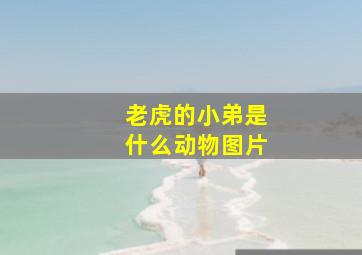 老虎的小弟是什么动物图片