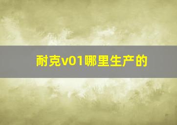 耐克v01哪里生产的