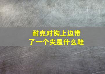 耐克对钩上边带了一个尖是什么鞋