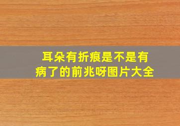 耳朵有折痕是不是有病了的前兆呀图片大全