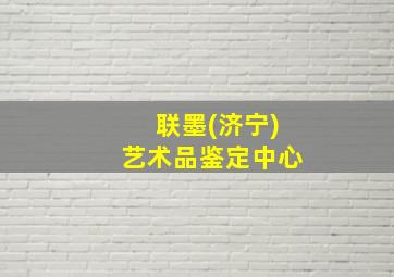 联墨(济宁)艺术品鉴定中心