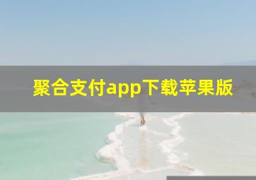 聚合支付app下载苹果版