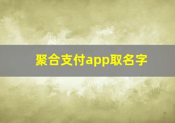 聚合支付app取名字